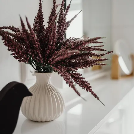 Iii Rhein Charme Gemuetlichkeit, Style & Geschichte Bei Katrin Und Familie Iii Apartment