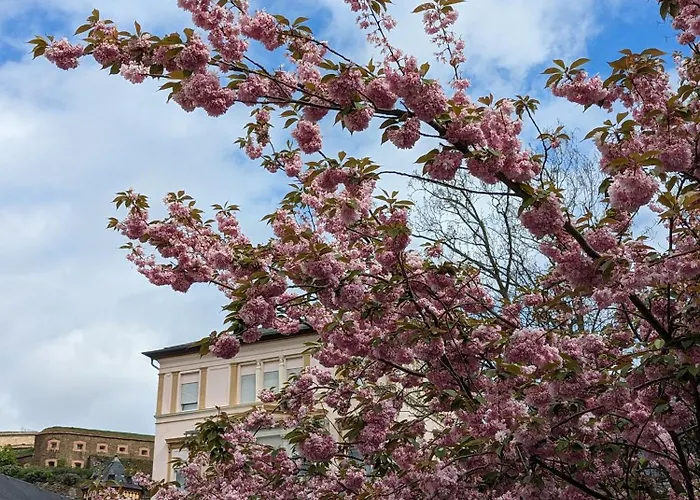 Iii Rhein Charme Gemuetlichkeit, Style & Geschichte Bei Katrin Und Familie Iii