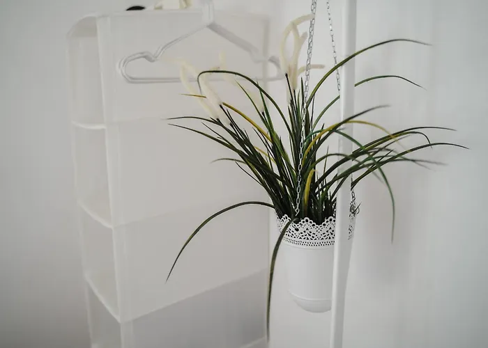 Appartement Iii Rhein Charme Gemuetlichkeit, Style & Geschichte Bei Katrin Und Familie Iii