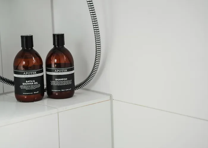 Iii Rhein Charme Gemuetlichkeit, Style & Geschichte Bei Katrin Und Familie Iii Apartman